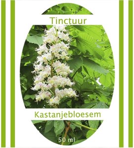 Kastanjebloesemtinctuur