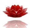 Lotus-sfeerlicht-Chakra-1-ROOD