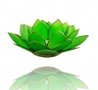 Lotus-sfeerlicht-Chakra-4-GROEN