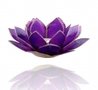 Lotus-sfeerlicht-Chakra-7-VIOLET