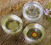 Drinkglas-Bloem-des-Levens-GEKLEURD