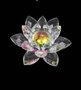 Kristallen-lotus-medium