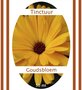 Goudsbloemtinctuur