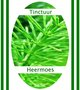 Heermoes-Paardestaarttinctuur