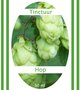 Hop-tinctuur